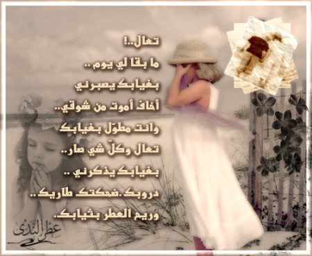 1401 2 صور شعر عن الحب - فوتوغراف قصيدة عن العشق اميرة خالد