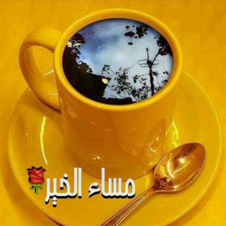 خواطر مسائية - افضل خاطره في صور 3448 14