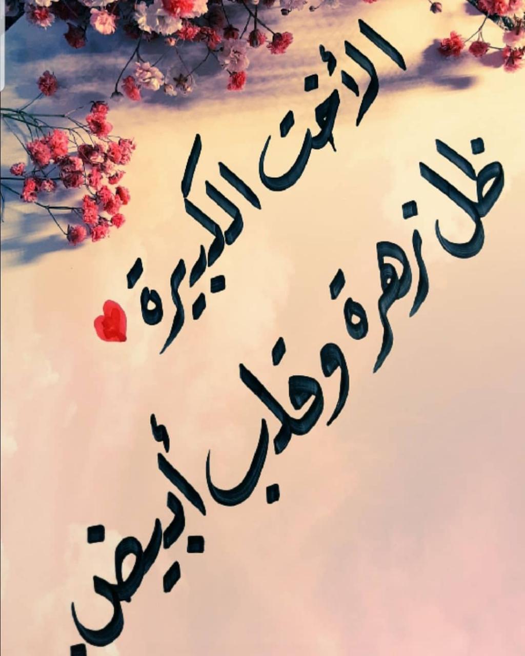 خاطره لانسانه غاليه 6893