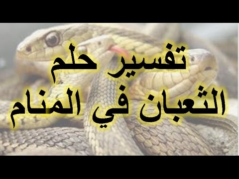 الافعى في المنام , تفسير حلم الافعى فى المنام