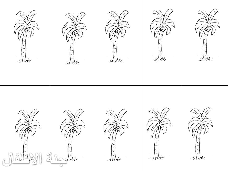 صورة نخلة للتلوين - رسومات نخله للتلوين 7185 3