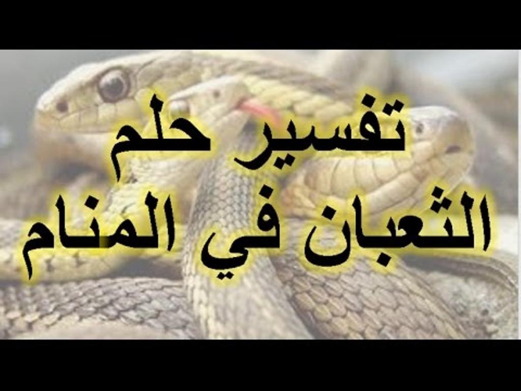 رؤية الثعبان في المنام - الى ماذا يشير الثعبان في المنام 1461 3