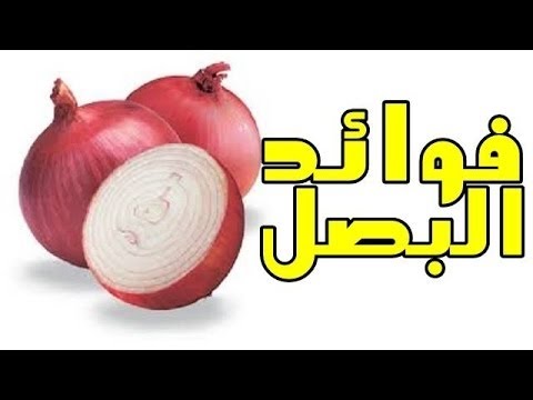 فوائد البصل , ما هى فوائد البصل