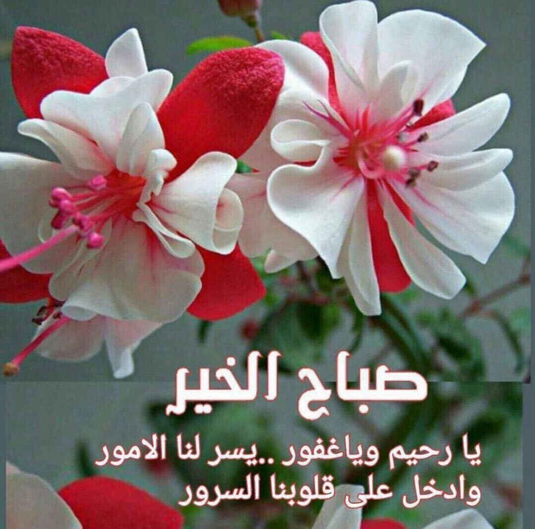 صور صباحية رائعة 7246 2