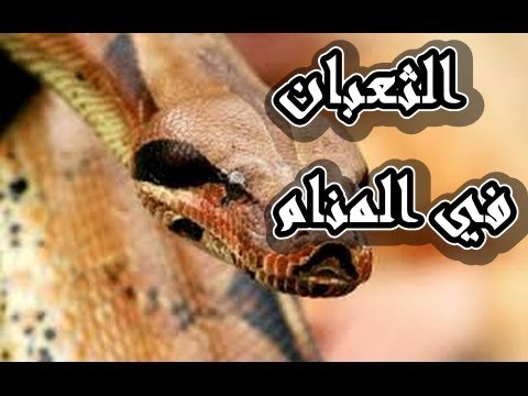 تفسير رؤية الثعبان في المنام - مشاهدة الحية اثناء النوم 2052 1