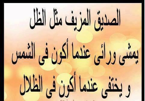 حكم وامثال عن الصداقه - الصداقة وعظمة وجودها فى حياتنا 3504 1