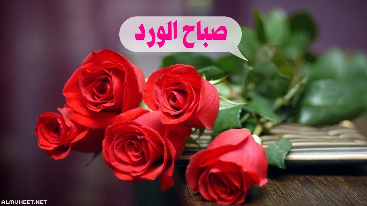 صباح الخير مسجات , اجمل صباح عندما ابدء يومي بك