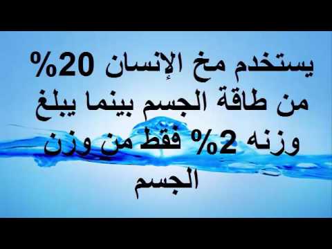 معلومات علمية مفيدة - اهم المعلومات العلمية الهامه في الحياة 7931