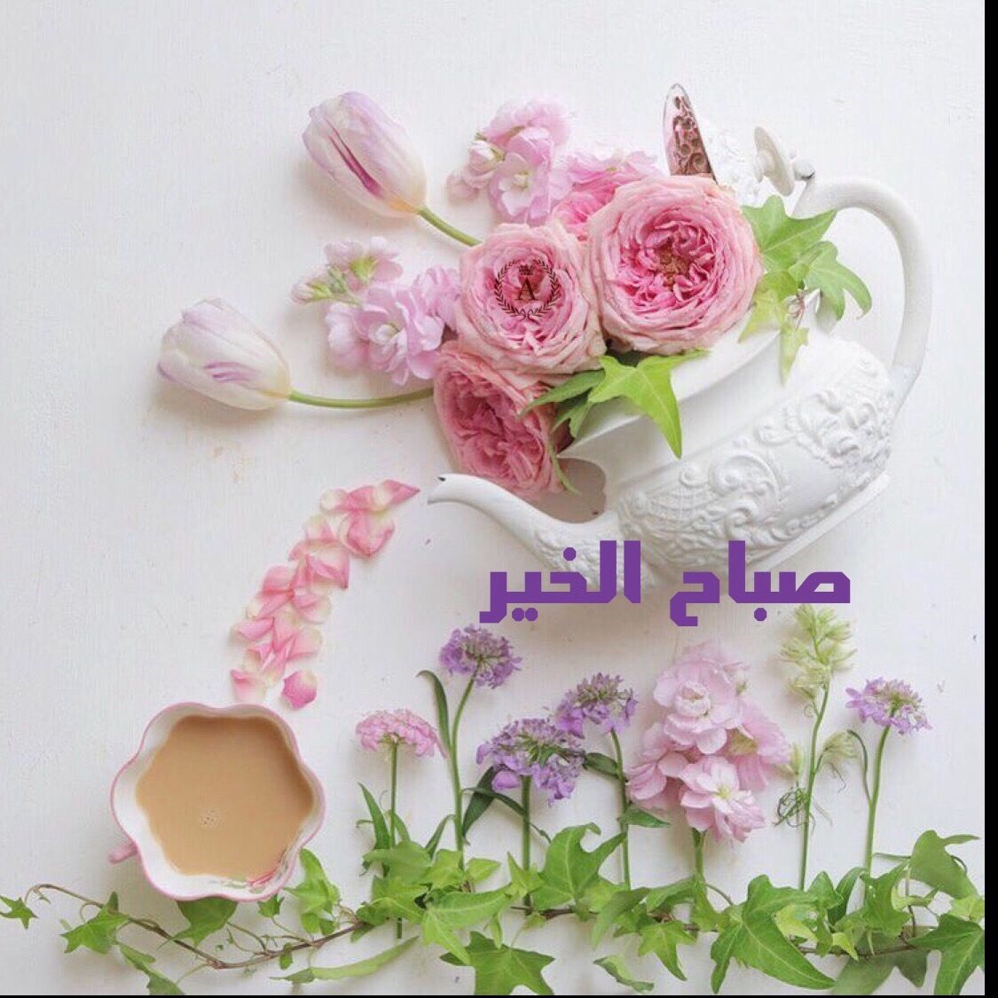 صباح خير - اجمل صباح الخير لاجمل ناس 3707 9