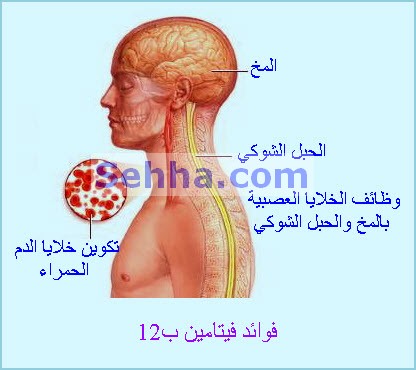 اعراض نقص فيتامين ب 12 , كيفيه معرفه نقص فيتامين ب