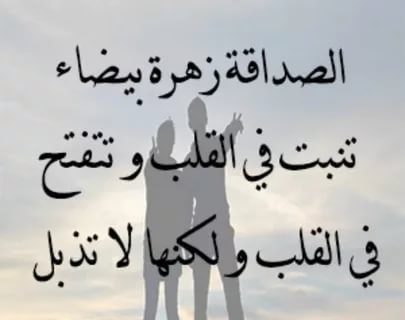 حكمه عن الصديق - الصداقه من اروع العلاقات 2484 4