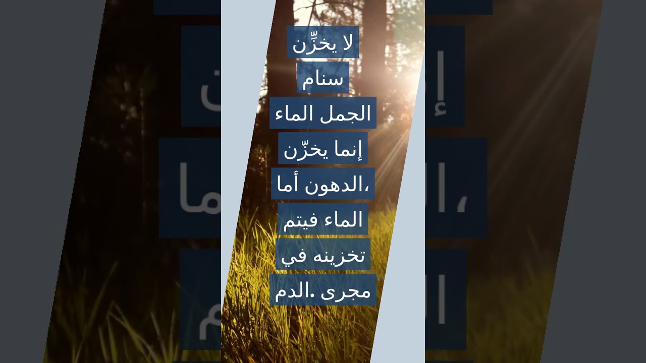 معلومات عامة هل تعلم , ثقف نفسك باكثر المعلومات المدهشة