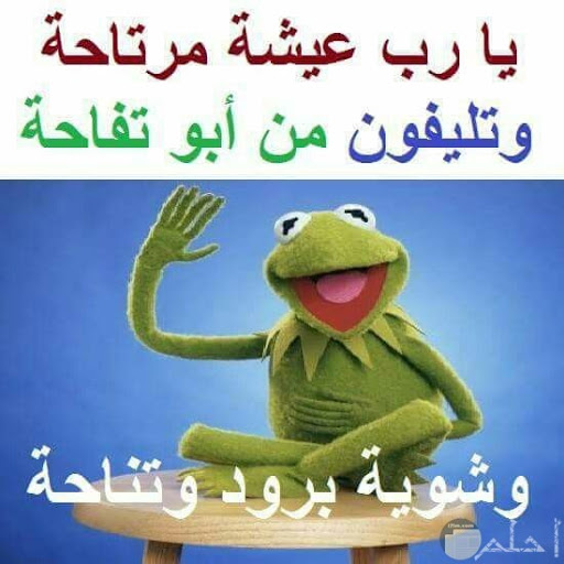 صور مضحكة جديدة - اضحك هنا من قلبك 2806 4