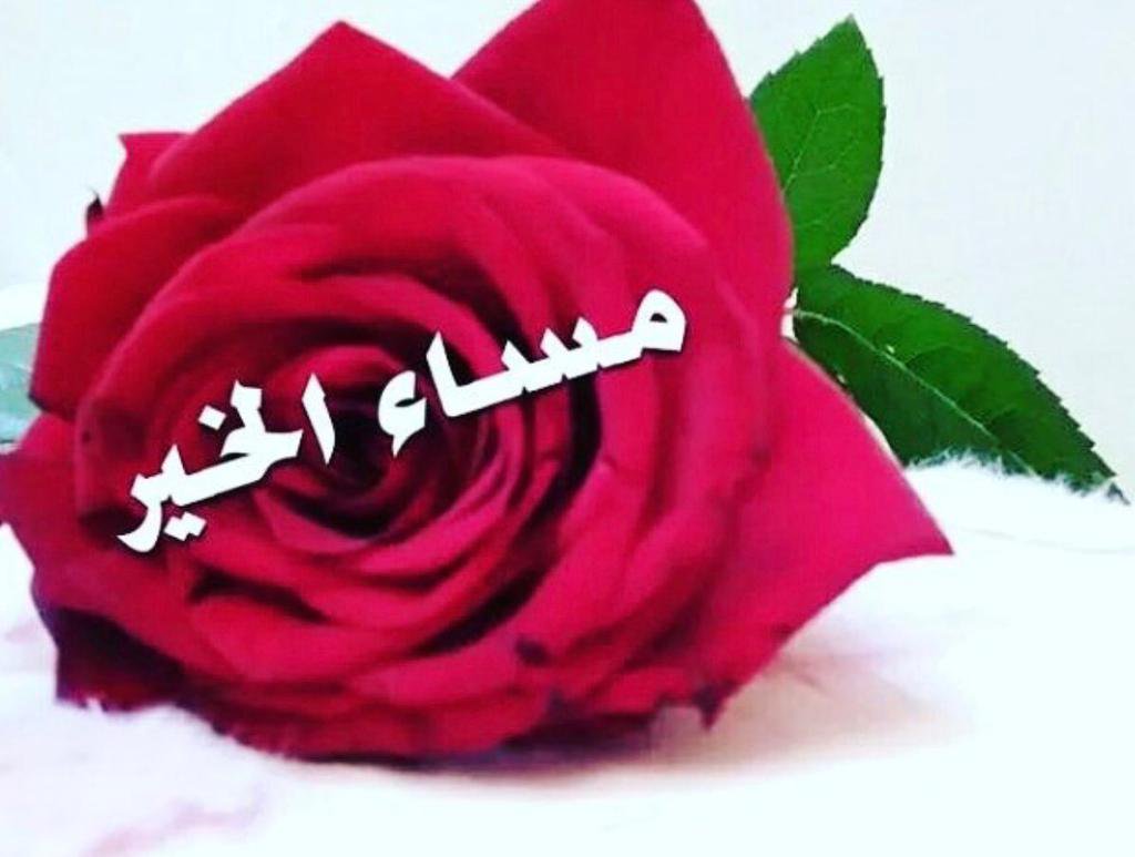 اجمل الصور مساء الخير متحركة- مااروع جمله مساء الخير 948 10