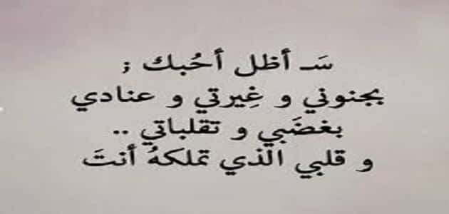 اجمل ما قيل عن الحب - كلام غرامى من القلب للحبيب 2538