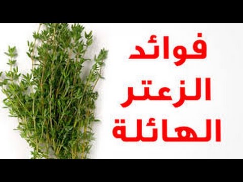 فوائد الزعتر , ما هي فوائد الزعتر للانسان