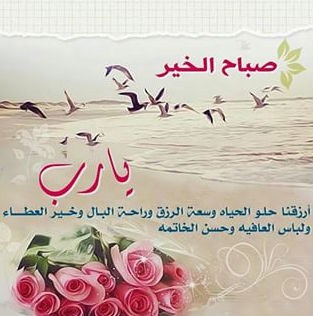 رسائل صباحية للحبيب - اجمل رسالة فى الصباح للحبيب 3654 7