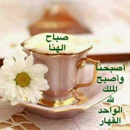 صور صباح للحبيب - خلفيات للصباح رائعه 213 6