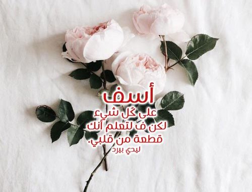 رسائل اعتذار للحبيب - اجمل رسالة اعتذار للحبيب 3722