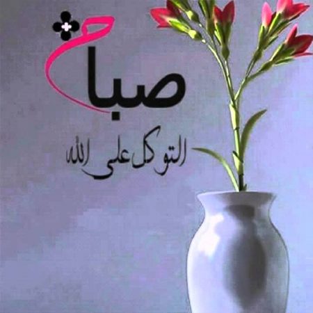 صور صباح للحبيب - خلفيات للصباح رائعه 213 7