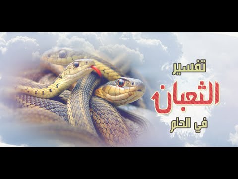 الافعى السوداء في المنام - تفسير الحلم بالافعى السوداء فى المنام 3904