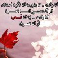 377 9 اجمل قصائد الحب - اروع قصائد الحب فتحي سعد