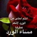 508 10 كلمات عن الورد - الورود ترسم البسمه علي الانسان تشويق سلمان