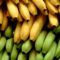 2026 1 ماهي فوائد الموز - اكل الموز على الريق نورهان خميس