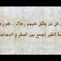 2353 2 قصيدة مدح في رجل شهم - اقوى قصيدة فى مدح الشهيد صدام حسين نورهان خميس