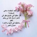 779 11 زهور الكلمات- اجمل عبارات الزهور نراها تتفتح تشويق سلمان