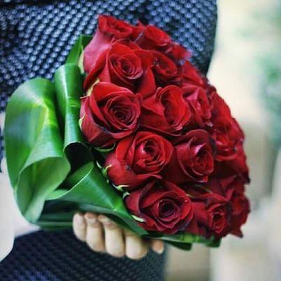 2641 زهور الحب - عبارات على احلى خلفيه من الورد تشويق سلمان