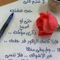 2638 8 عبارات عن الحب - كلام للحبيب عن الغرام اميرة خالد